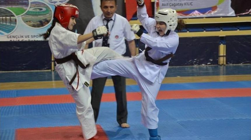 Bilecik&rsquo;in Ev Sahipliği Yaptığı &Uuml;mitler Ve K&uuml;&ccedil;&uuml;kler İller Arası Kyokushin Karate Turnuvası Sona Erdi