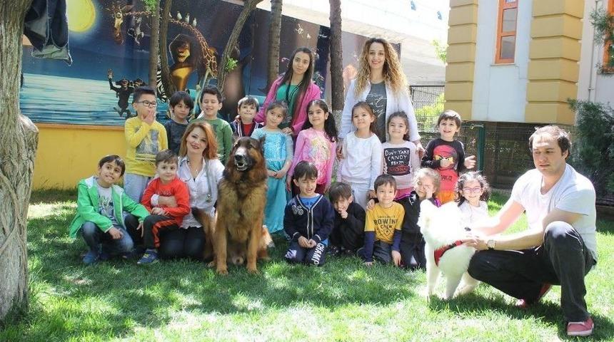 Gkv&rsquo;li Minikler Okullarında Evcil Hayvanları Ağırladı