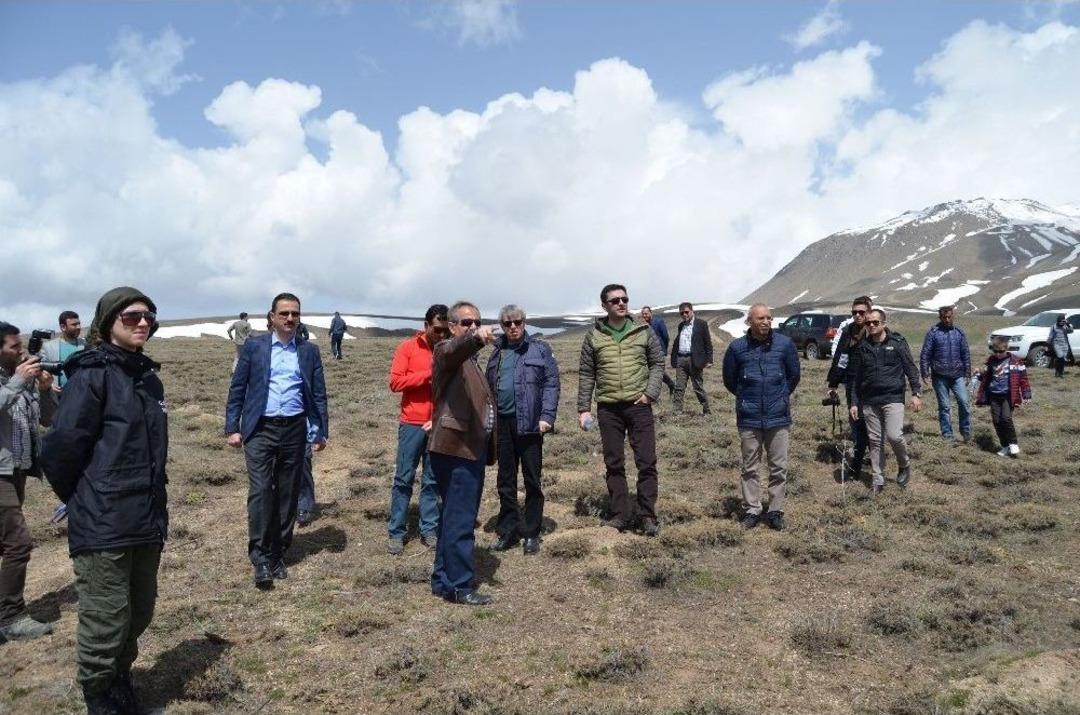 Adilcevaz&rsquo;da Orta&ccedil;ağ Hayatının Yaşanacağı &Ccedil;adır K&ouml;y Kurulacak