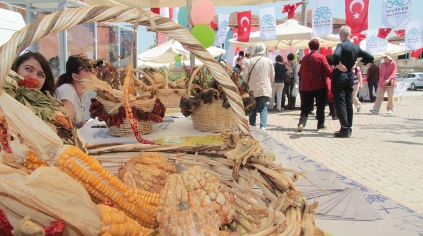 Sağlıklı Gelecek İ&ccedil;in Tohumlar Nil&uuml;fer&rsquo;de El Değiştirdi