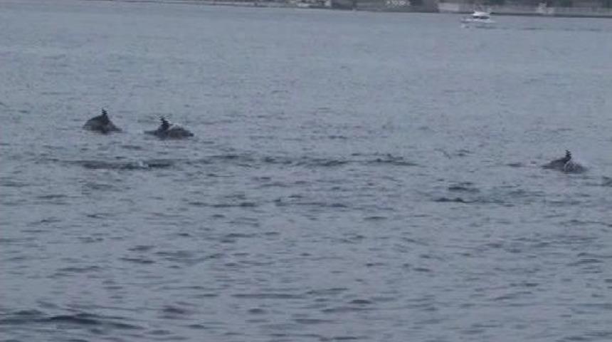 Boğazda Yunus Ş&ouml;leni