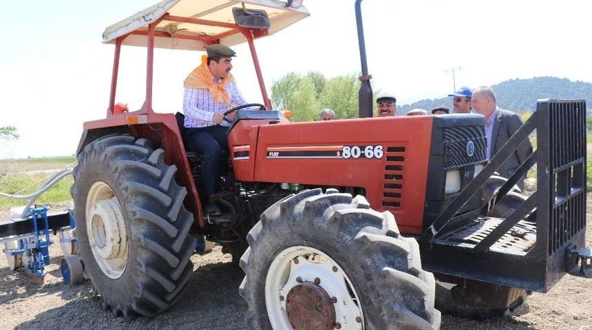 Erdem; &ldquo;beyaz Altın Pamuk Eski G&uuml;nlerine D&ouml;n&uuml;yor&rdquo;