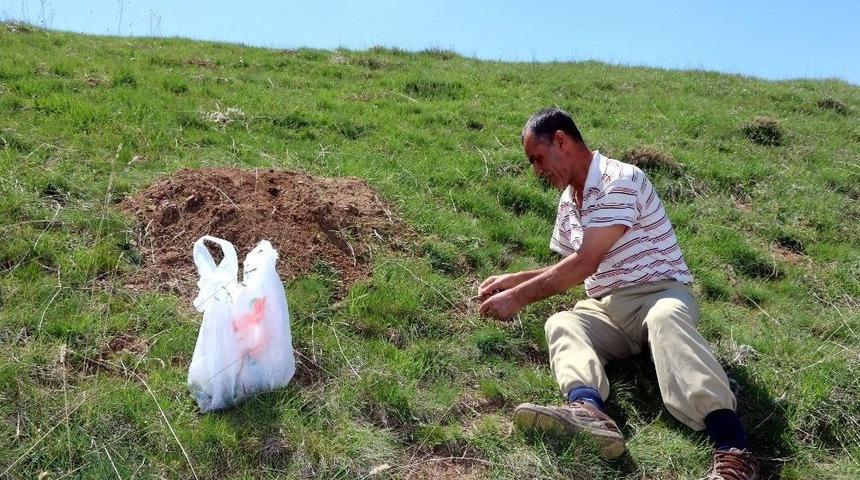 Yozgat&rsquo;ta Madımak Zamanı