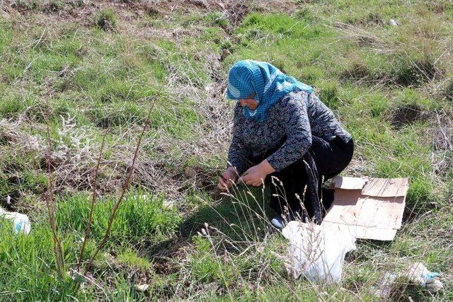 Yozgat’ta Madımak Zamanı