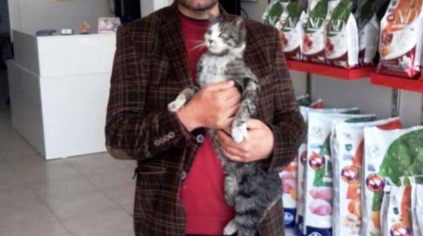 Zehirlenen Kediyi Fabrika İş&ccedil;isi Kurtardı