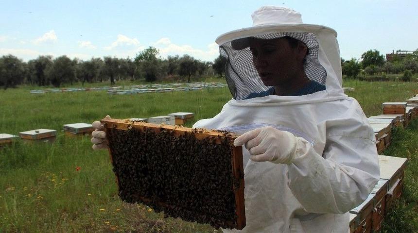 Aydın&rsquo;da Lise Mezunu İki Kadın Yeni Bir Arı Irkı Geliştirdi