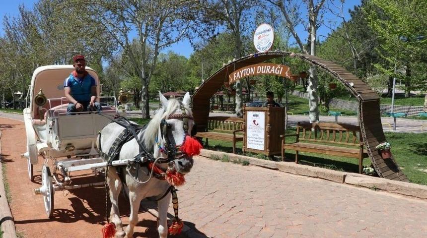 Malatyalılar Faytonu Sevdi