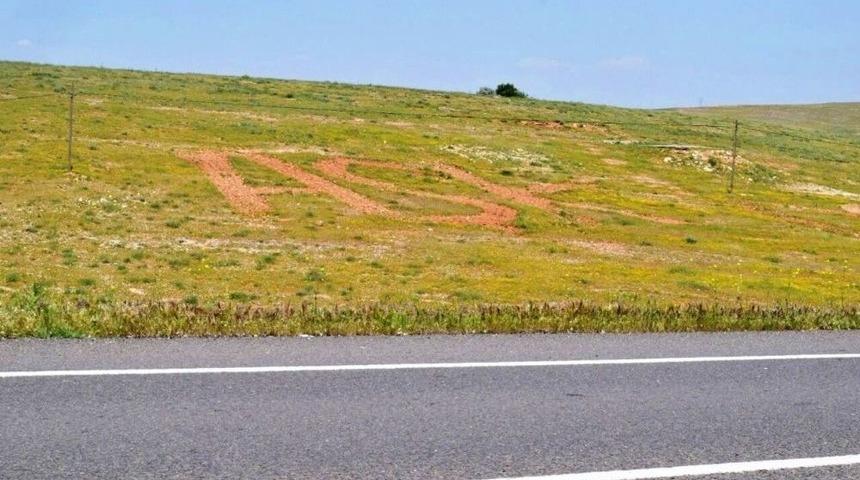 Trakt&ouml;rle Tarlaya 30 Metrelik Aşk Yazıp Yanına Kalp &Ccedil;izdi