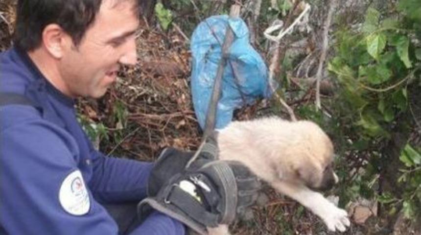 Kuru Ağa&ccedil; K&uuml;t&uuml;ğ&uuml;nde Mahsur Kalan K&ouml;peği İtfaiye Kurtardı