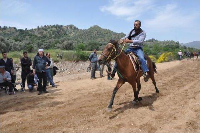 Köşk'te 'rahvan Atlar' 3'üncü Kez Koştu