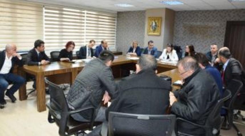 İzmit Belediyesi Kamelya Alacak