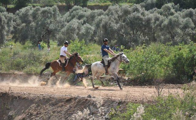 K&ouml;şk&rsquo;te 3. Geleneksel Rahvan At Yarışları Renkli Ge&ccedil;ti 2