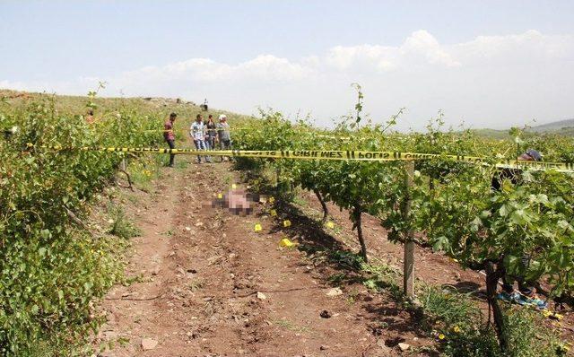 Adana’da Aynı Günde 6 Kişi Öldürüldü