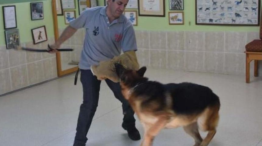 Hobi Olarak Başladı, K&ouml;pek &Ccedil;iftliği Kurdu