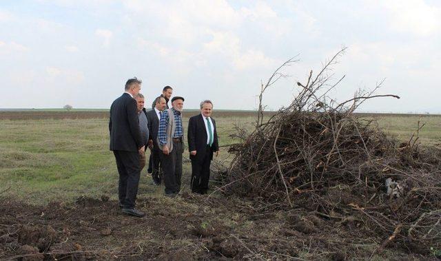 Tekirdağ’da Mera Islah Çalışmaları