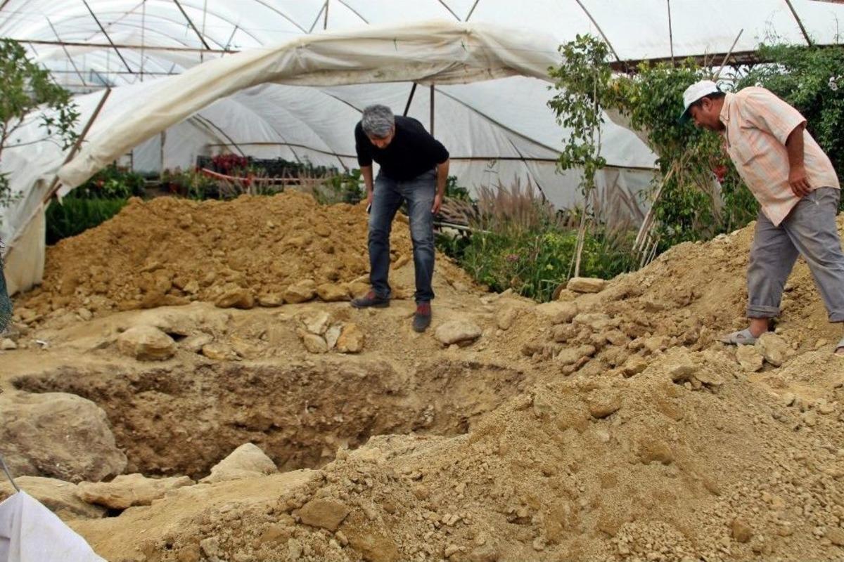 S&uuml;s Bitkisi Serasında Define Kazısı