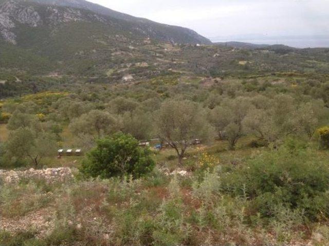 Karaburun'da Çevrecilerin Taş Ocağı Zaferi