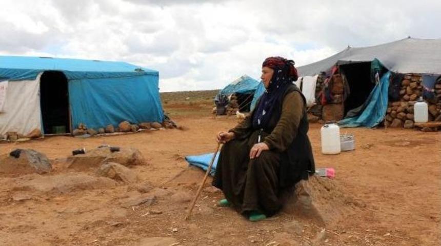 G&ouml;&ccedil;erlerin Hayvanlarıyla Zorlu Yolculuğu Başladı