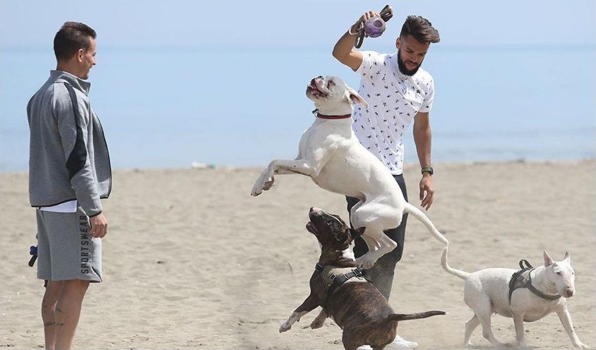 Trabzonspor&rsquo;un Yeni Transferleri Mas Ve Pereira Samimi A&ccedil;ıklamalar Yaptı