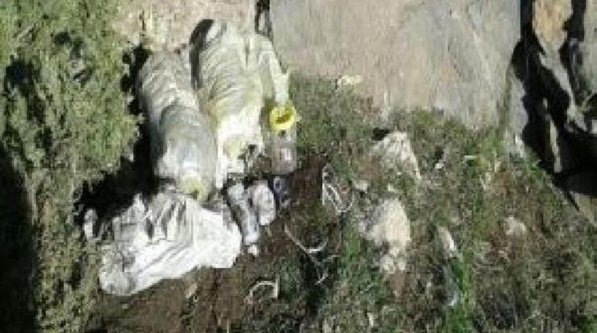 İ&ccedil;işleri Bakanlığı: Son Bir Haftada 65 Ter&ouml;rist Etkisiz Hale Getirildi