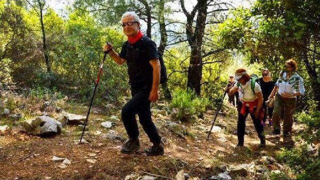 Pedesa Şenliği Doğa Yürüyüşüyle Başladı