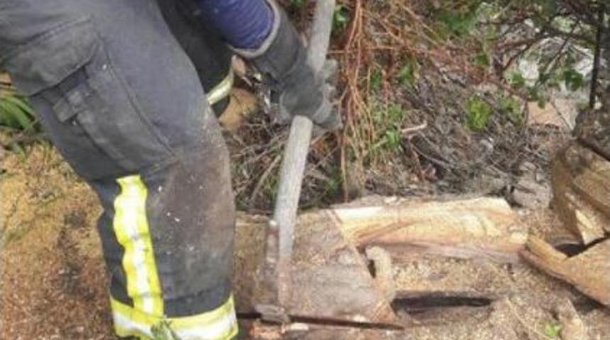 Ağa&ccedil; K&uuml;t&uuml;ğ&uuml;ne Sıkışan Yavru K&ouml;pek Kurtarıldı