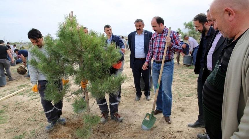 Sel&ccedil;uklu&rsquo;da Sanayi &Ccedil;alışanı Gen&ccedil;ler Bin 71 Fidanı Toprakla Buluşturdu