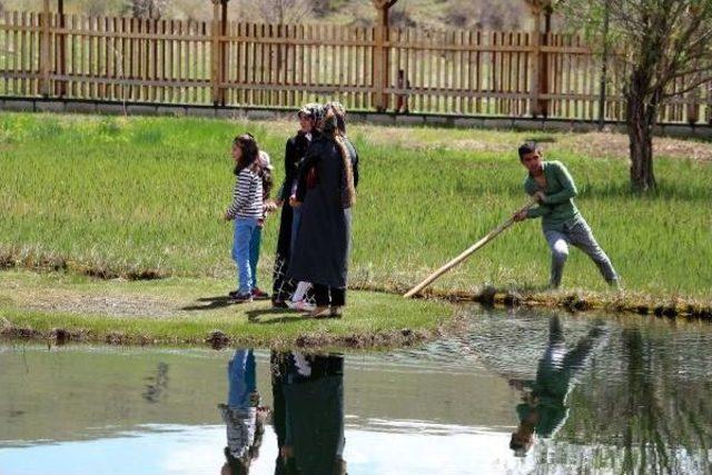 Bingöl'de Yüzen Adaya Yerli Turist Ilgisi 