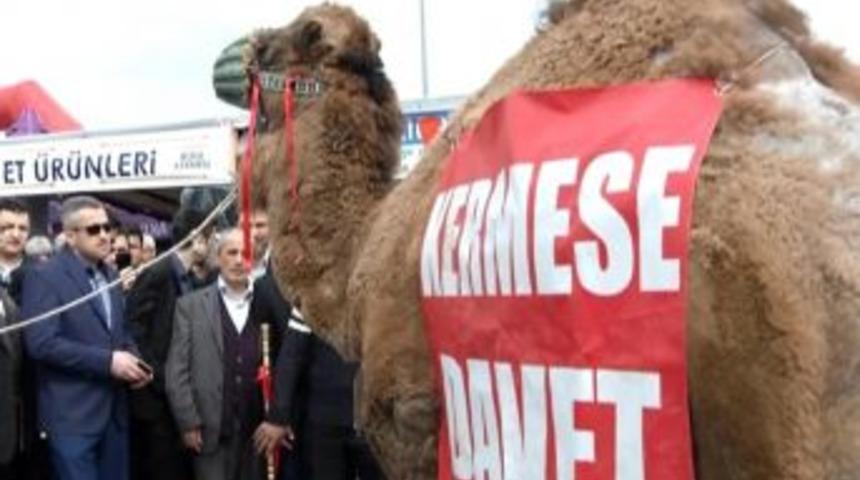 A&ccedil;ık Artırmaya &Ccedil;ıkan Deve 57 Bin 500 Liraya Satıldı