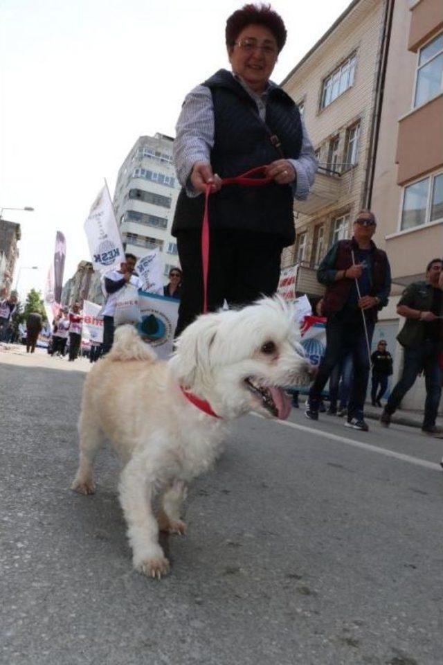 Samsun da 1 Mayıs Kutlaması 1
