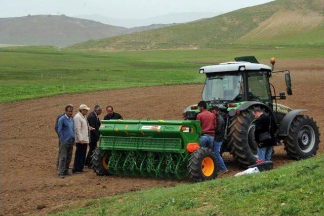 Y&uuml;ksekovalı &Ccedil;ift&ccedil;i Aspir Bitkisinden Umutlu 1