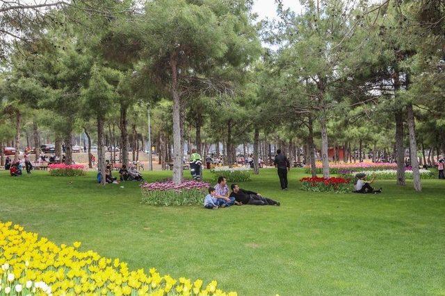 1 Mayıs D&uuml;l&uuml;k Tabiat Parkında Kutlandı 2