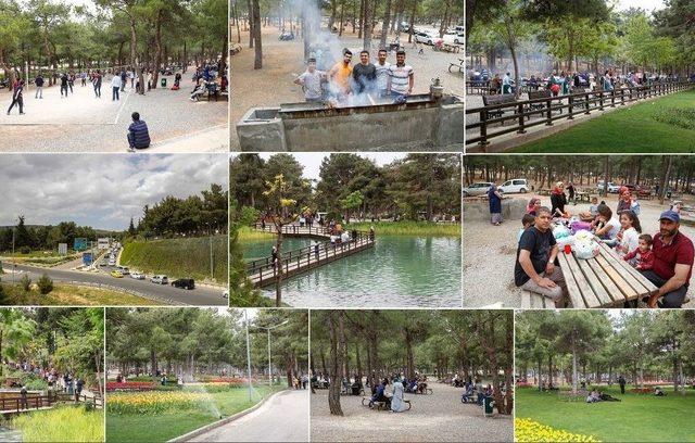 1 Mayıs D&uuml;l&uuml;k Tabiat Parkında Kutlandı 3