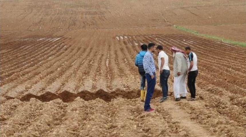 Pamuk Tarlasında Oluşan Dev Obruk Korkuttu