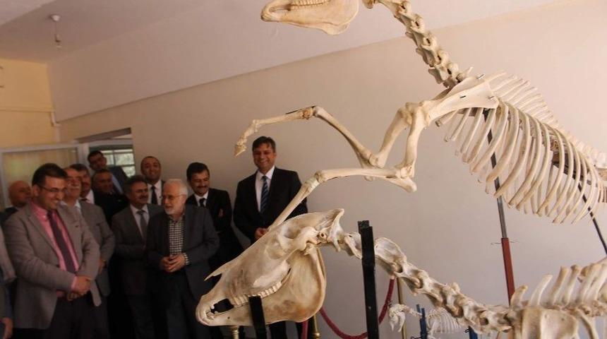 Siirt&rsquo;te Hayvan Hastanesi Kuruldu