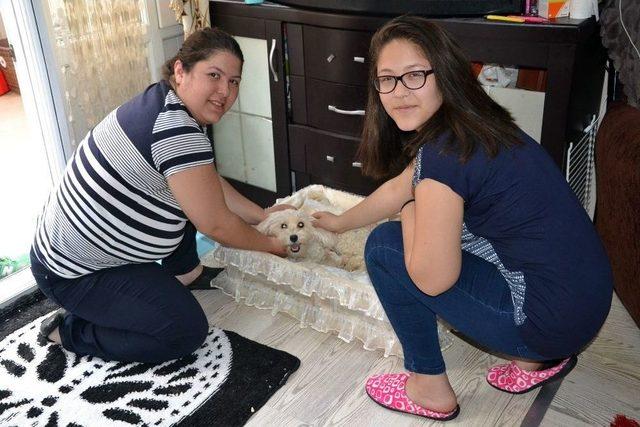 (&ouml;zel Haber) &rsquo;anne&rsquo; Diyen K&ouml;pek Şaşırttı 1