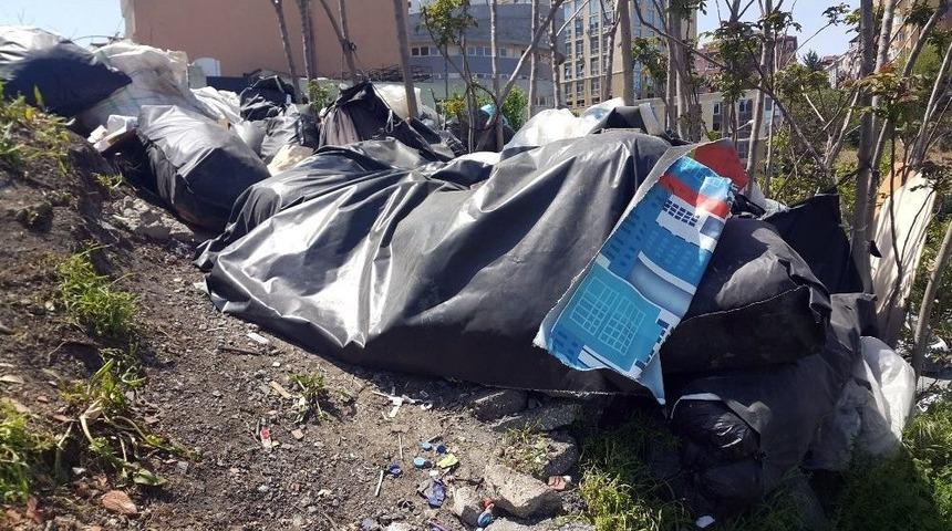 (özel Haber) Kağıthane’de Çöp Dağları Geri Döndü