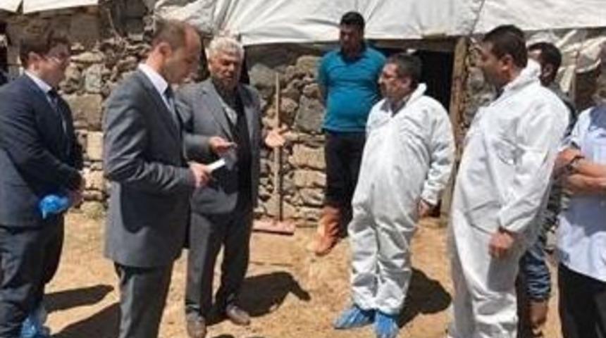 Van&rsquo;da &rsquo;şap&rsquo; Hastalığı İle M&uuml;cadele