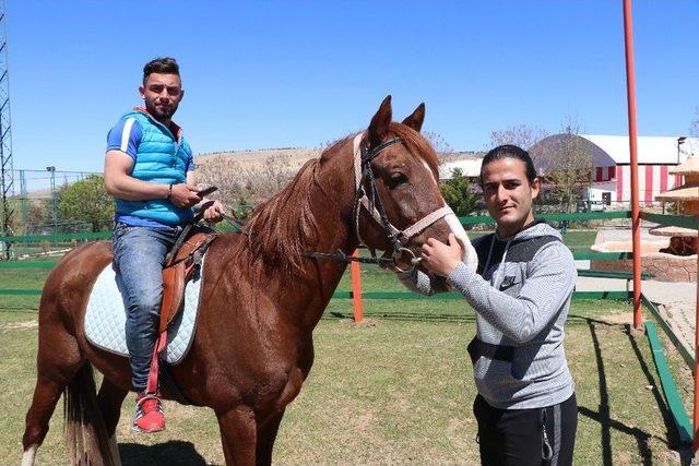 Turgut Özal Tabiat Parkı’nda At Keyfi