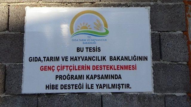 Genç Çiftçilere Hibe Desteği