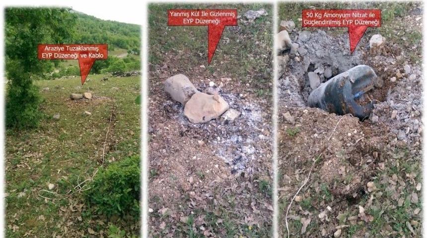 Eğitimli K&ouml;pekler Buldu, G&uuml;venlik G&uuml;&ccedil;leri İmha Etti