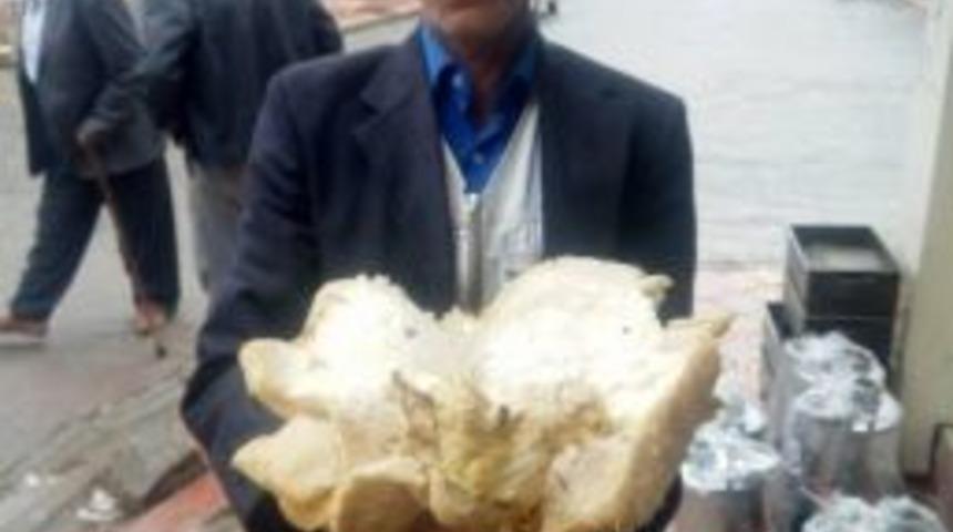 5 Kilogramlık Mantar Şaşırttı