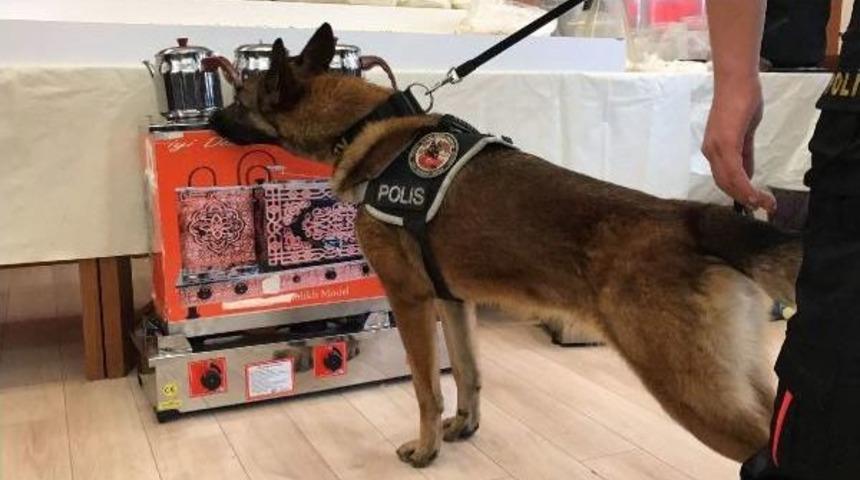 İstanbul'da 4 Il&ccedil;ede Uyuşturucu Operasyonu