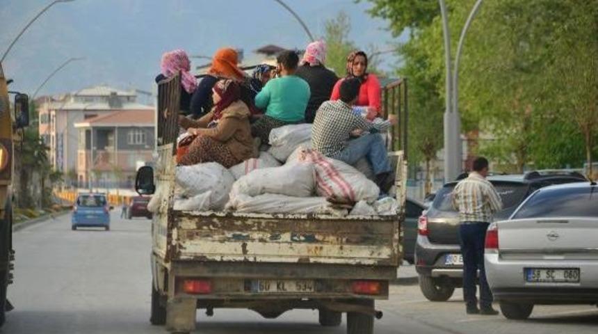 Kamyonet Kasasında Tehlikeli Yolculuk