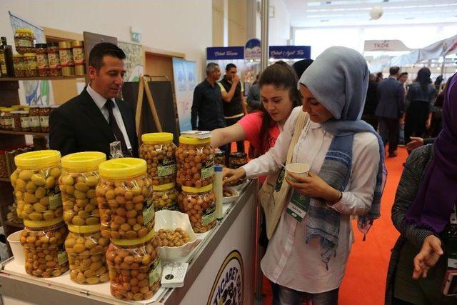 Coğrafi İşaretli Edremit K&ouml;rfezi Yeşil &Ccedil;izik Zeytini Ankara&rsquo;da Tanıtıldı 1