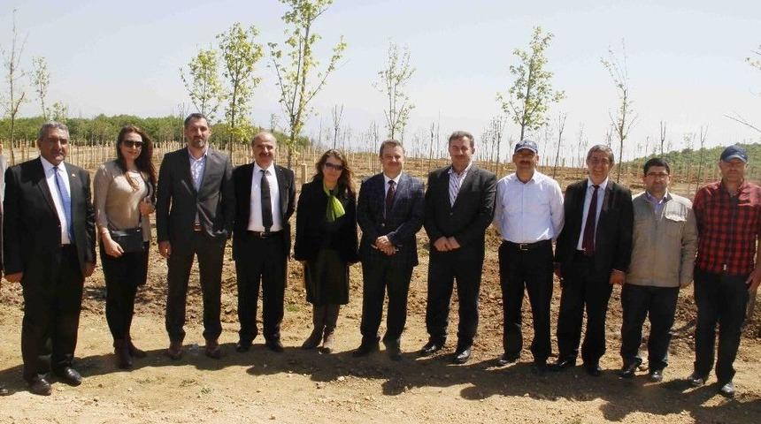 B&uuml;y&uuml;kşehir&rsquo;den 30 Hektarlık Muhtarlar Hatıra Ormanı