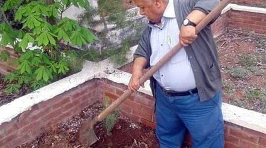 Kendi Mezarına &Ccedil;am Dikti