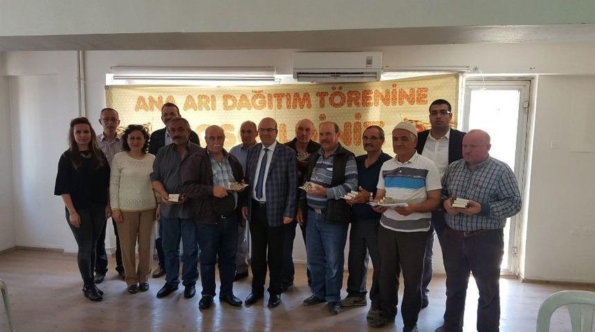 Alaşehirli Bal &Uuml;reticisine Ana Arı Desteği