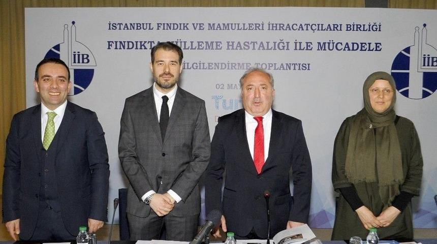 &rsquo;&rsquo;fındık&ccedil;ının Korkulu R&uuml;yası K&uuml;lleme Nedeniyle Kayıp 300 Milyon Dolar&rsquo;&rsquo;