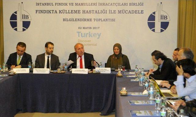 ’’fındıkçının Korkulu Rüyası Külleme Nedeniyle Kayıp 300 Milyon Dolar’’